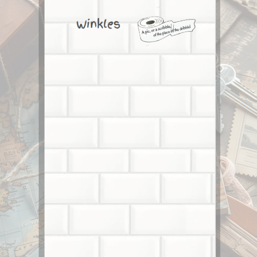 Flush Diaries: A Road Trip Restroom Log