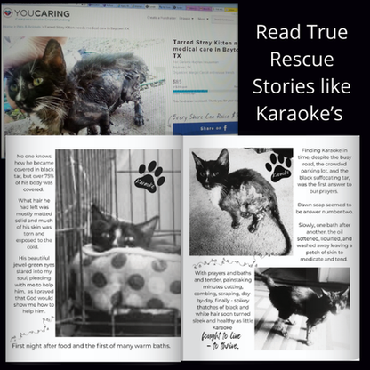 Cat Rescue Word Search Large Print Puzzles: Relaxing Word Search Puzzles With Heartwarming Photos & Stories Celebrating Cat Rescuers and Second Chances