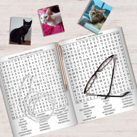 Cat Rescue Word Search Large Print Puzzles: Relaxing Word Search Puzzles With Heartwarming Photos & Stories Celebrating Cat Rescuers and Second Chances