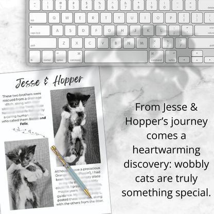Cat Rescue Word Search Large Print Puzzles: Relaxing Word Search Puzzles With Heartwarming Photos & Stories Celebrating Cat Rescuers and Second Chances